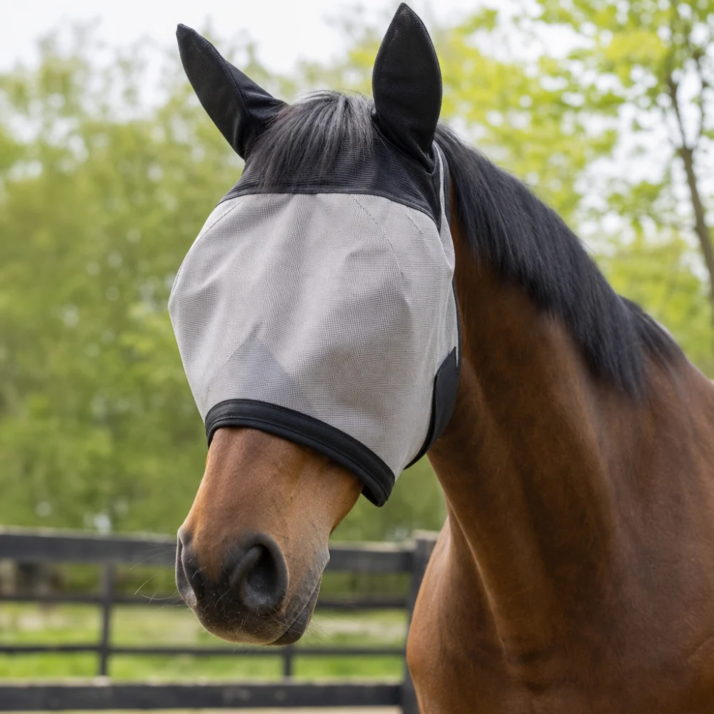 A horse wearing a fly mask outdoors