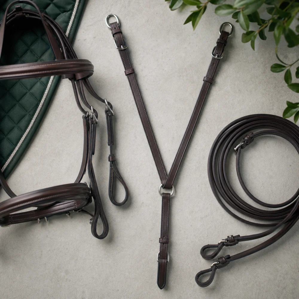 A generic martingale and horse tack arranged on a neutral background.